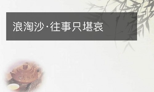 浪淘沙·往事只堪哀