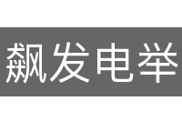 飙发电举