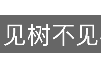见树不见林