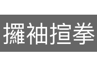 攞袖揎拳