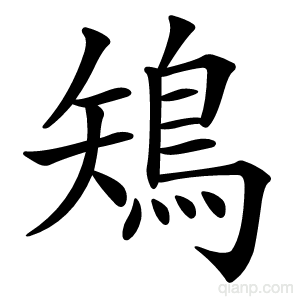 鴙字的意思