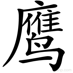 鹰字的意思